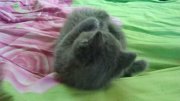 DSC00100.JPG