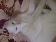 DSC_5432.jpg