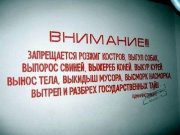 2548368_original.jpg