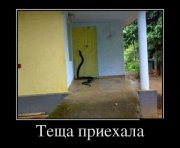 c80c8a840a8f.jpg