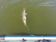 2013-06-22 17.37.22.jpg