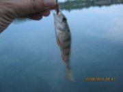 IMG_0635.JPG