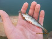IMG_0636.JPG