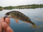 IMG_0637.JPG