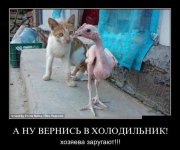0c21ac83a9be91ee72c81c2523b41dce.jpeg
