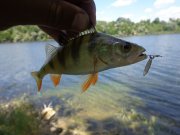 DSC01219.JPG