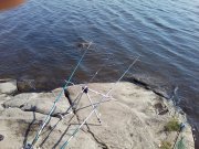 P25-06-13_16.50.jpg