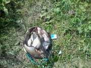 2013-06-25 13.00.17.jpg