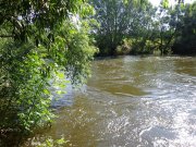 DSC01234.JPG