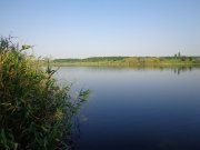 DSC01221.JPG