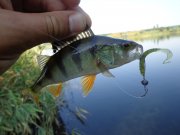 DSC01223.JPG