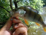 DSC01233.JPG