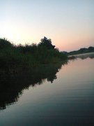 Фото0197.jpg
