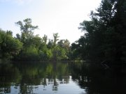 IMG_4252.JPG