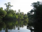 IMG_4254.JPG