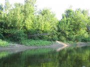 IMG_4255.JPG