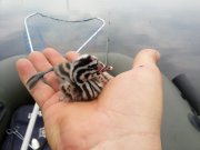 20130701_143553.jpg
