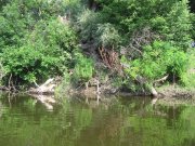 IMG_4262.JPG