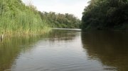 2013-06-30_17-16-15_375.jpg