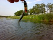 29062013240.jpg