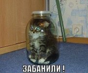 забанили.jpg