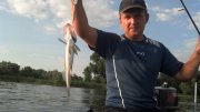 2013-07-03_18-58-20_174.jpg
