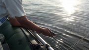 2013-07-03_18-59-22_627.jpg