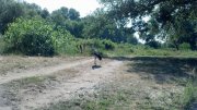 2013-07-04_08-59-15_983.jpg