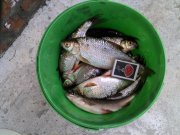 IMG_20130706_150945.jpg