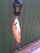 IMG_20130706_150640.jpg