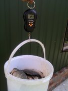 IMG_20130706_150658.jpg