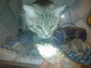 08072013671.jpg