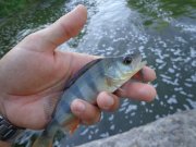 DSC01266.JPG