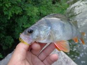 DSC01285.JPG