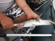 2013-07-12 19.12.07.jpg