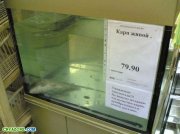 1230063433_humour_17.jpg