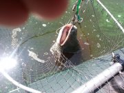 2013-07-13 13.31.56.jpg
