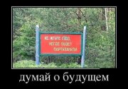 134.jpg