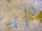 Фото0108.jpg