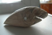 IMG_20130717_120827.jpg