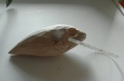 IMG_20130717_120934.jpg