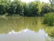 DSC08457.JPG