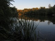 IMG_2250_resize.jpg