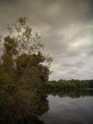 IMG_2261_resize.jpg