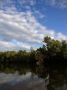 IMG_2270_resize.jpg