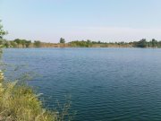 DSC08490.JPG