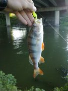 230720131126.jpg