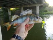 230720131127.jpg