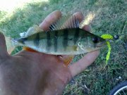 230720131128.jpg