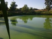230720131129.jpg